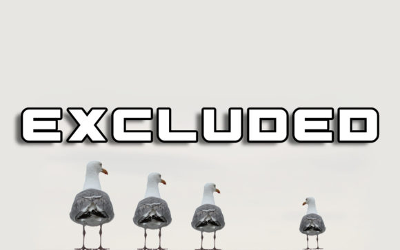 Why Excluded is a Standout Choice for Modern Design